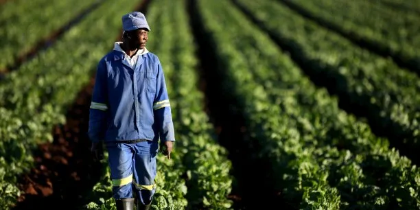 Devenir Agriculteur au Cameroun