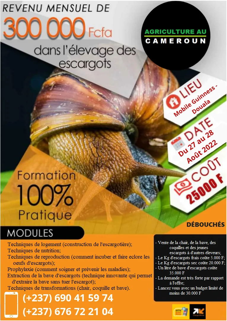 Formation en élevage des escargots