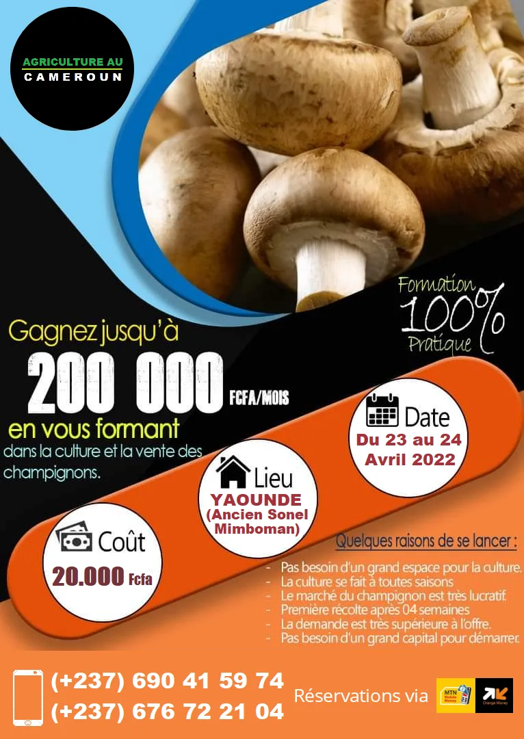 Formation en culture des champignons